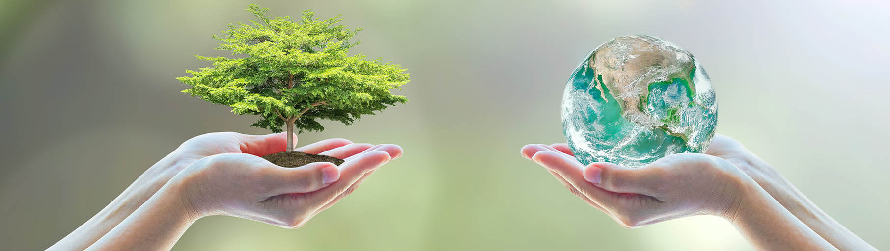 Policies for green economy - EU4ENVIRONMENT