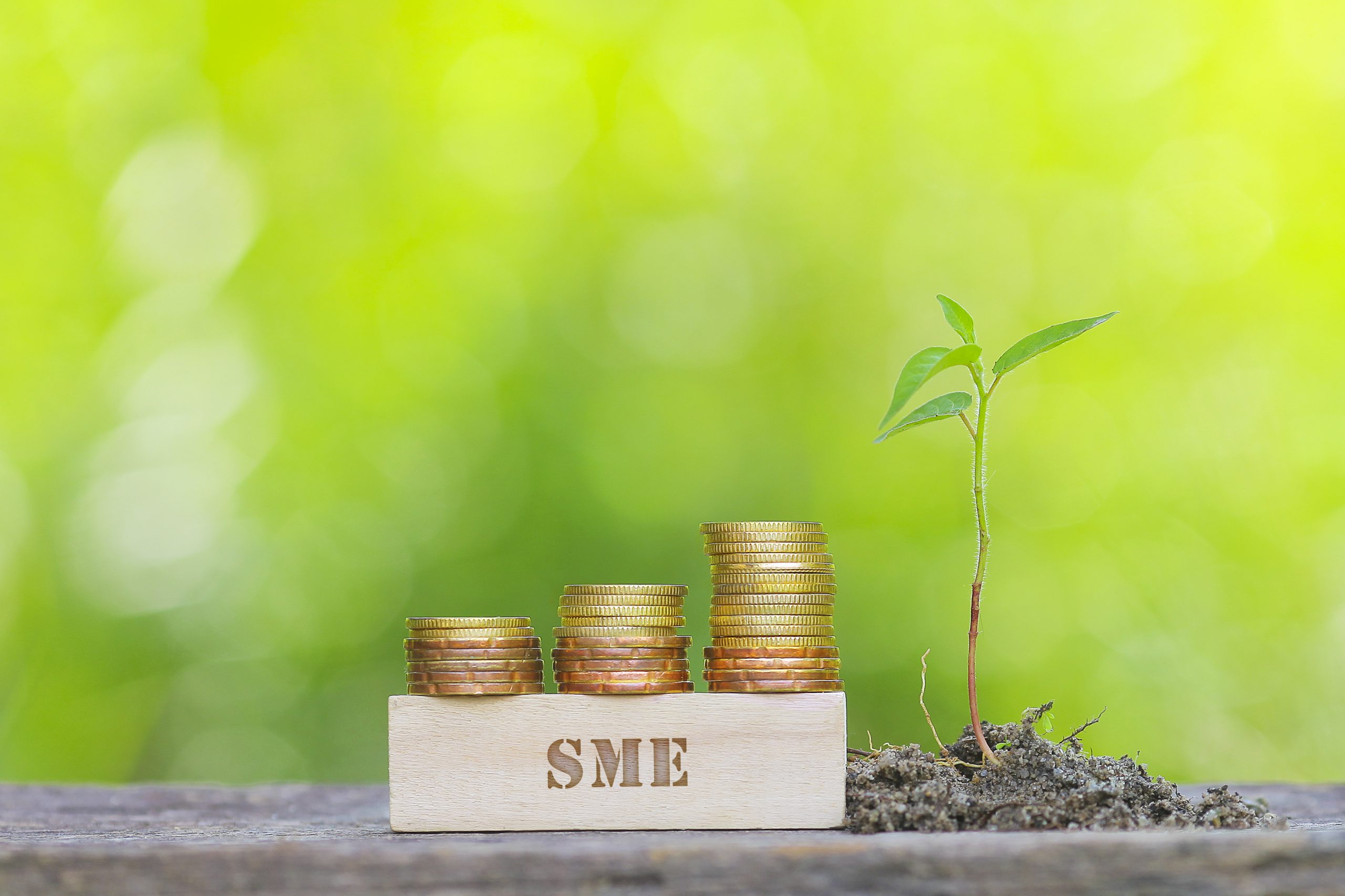 EU4Environment supports greening small and medium enterprises in